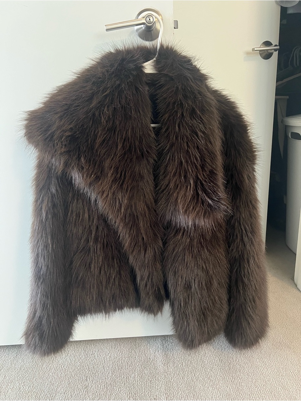 Zara Faux Fur Short Coat